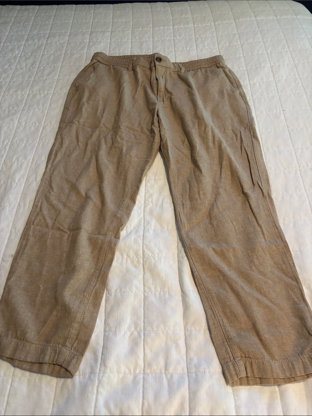 Banana Republic Men's Linen-Blend Pants in Tan